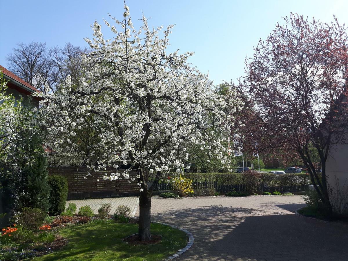 דירות Strullendorf Der Kirschbaumhof מראה חיצוני תמונה